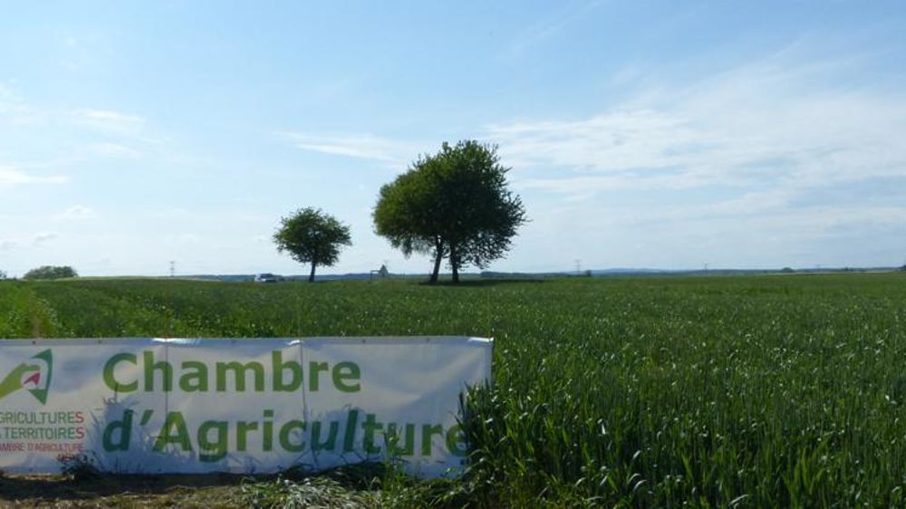 Le gouvernement a annoncé qu’il renonçait à réduire le budget des chambres d’agriculture moyennant des contreparties. © A. Cassigneul/GFA